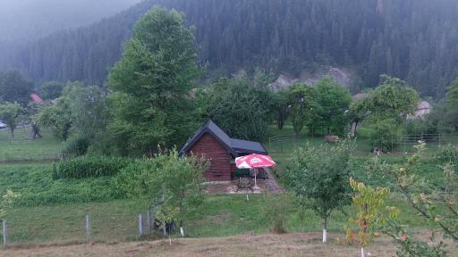 Tiny house Casa Axa - Housity