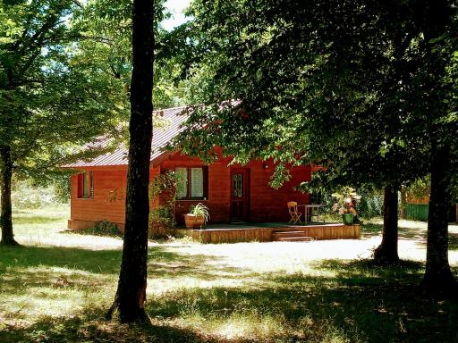Chalet en forêt, brame du cerf - Housity