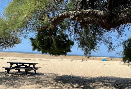 The Barbots apartment - Housity