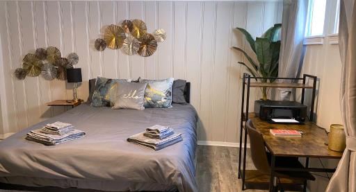 Cozy and Modern 1BR Apartment with WiFi and Dogs Welcome - Housity