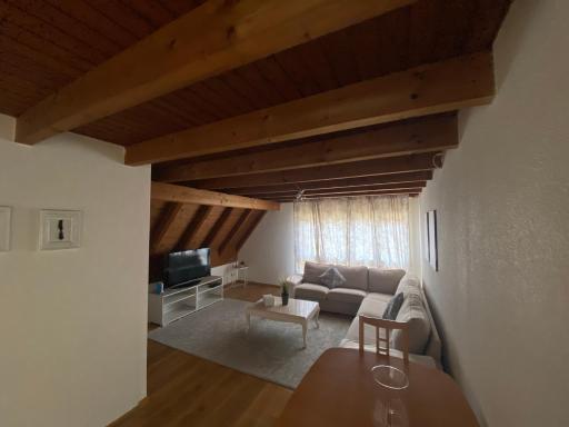 Get Cozy Family Flat Zürich - Housity