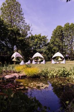 Stirrups Hotel - Housity