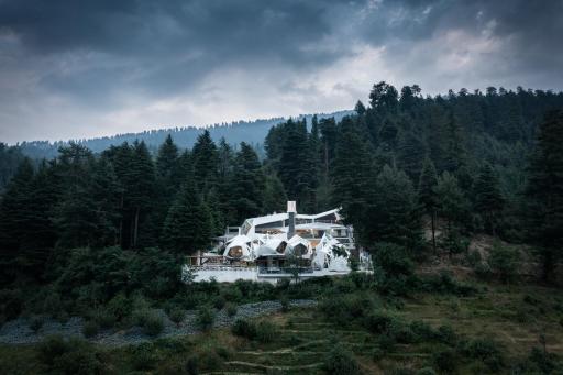 Tree of Life Eila Art Hotel, Manali - Housity