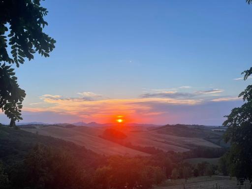 Bollicine al Tramonto - Housity