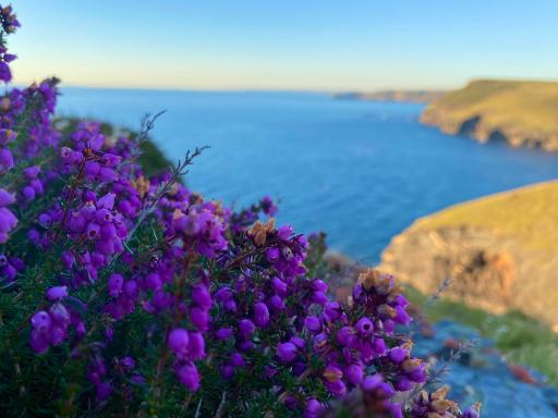 Polrunny Farm Sloe Cottage with a sea view - Housity