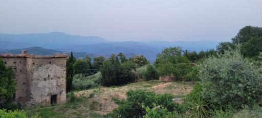 IL GIARDINO DEGLI ARANCI - Housity