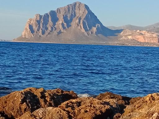 Nausica - Housity