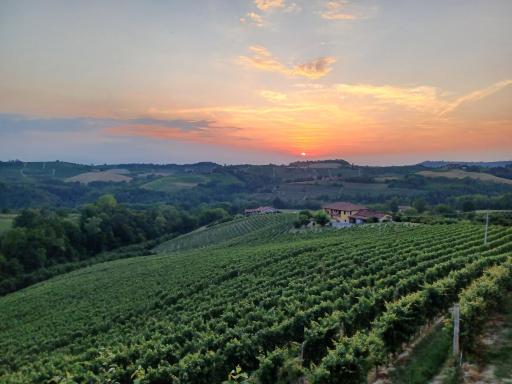 Casa Vacanza ElyD House - Housity