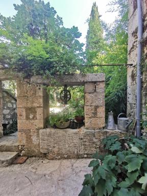 Alice & Jeanne - Housity