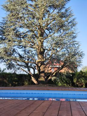 Villa Cresto - Housity