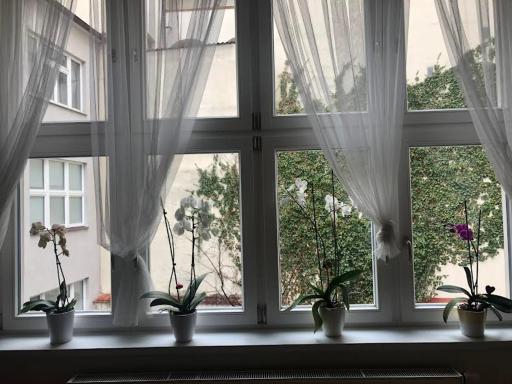 Cozy apartment in the city centre - Housity