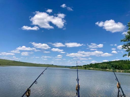 Lacul de Argint - Housity