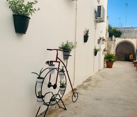 Cortile Novecento - Housity