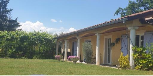 Miss G'Ainguette - Housity