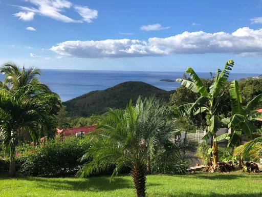 Caribbean Sea - Housity