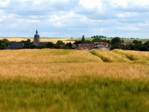 Charmant plain-pied rénové avec jardin clos et cheminée, au cœur de Rarécourt, proche sites historiques - FR-1-585-79 - Housity