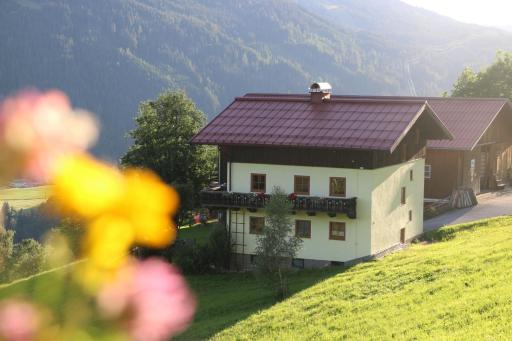Molteraugut - Housity