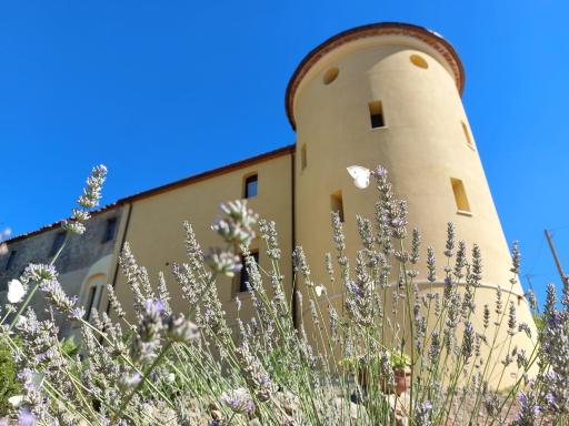 Fattoria La Campigliola - Housity