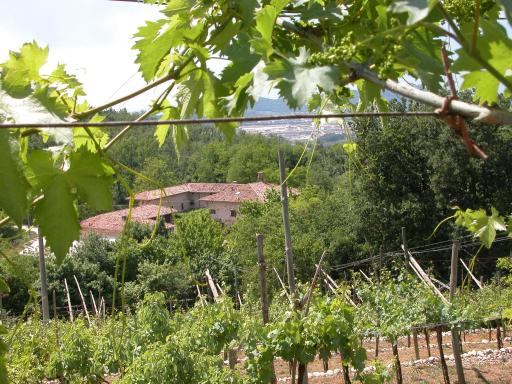 Agriturismo Ca' Verde - Housity