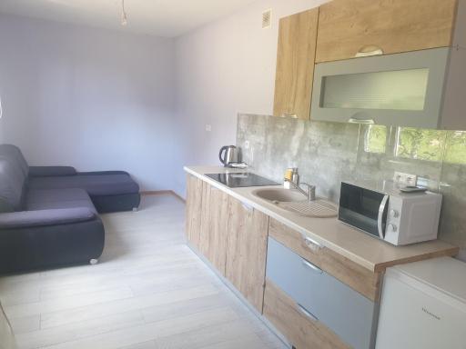 Karaiby na niby - Housity