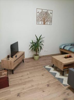 Štýlový Apartmán Zemplínska - Housity
