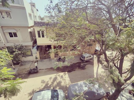 Daylight Homes - Housity