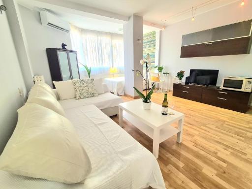 AA Guest - El Mono de Torre del Mar Eco Apartment - Housity