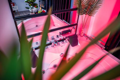 Apartment de Lux Craiova Jacuzzi Pat Rotund Semineu Zona Ford - Housity