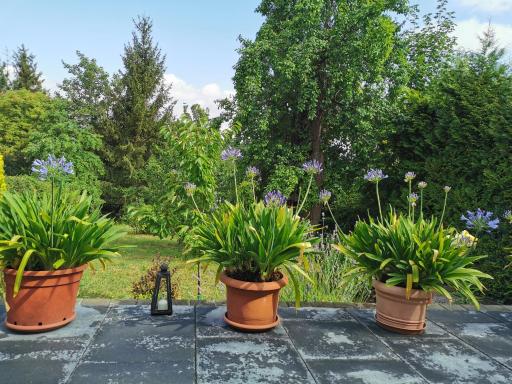 Ferienhaus Appold - Housity