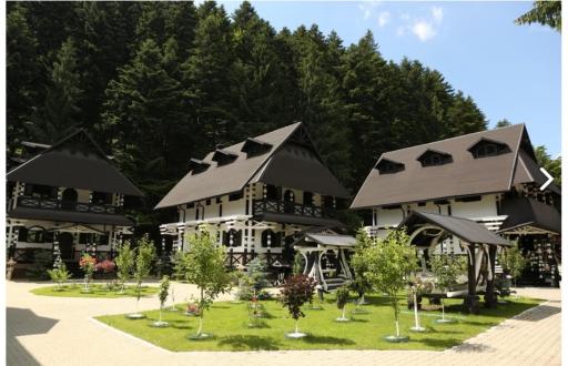 Complex Lions Bucovina - Housity