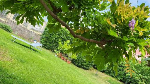 B&B Flauto Magico - Housity