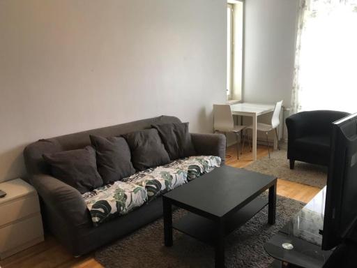 Apartment near city center - Housity