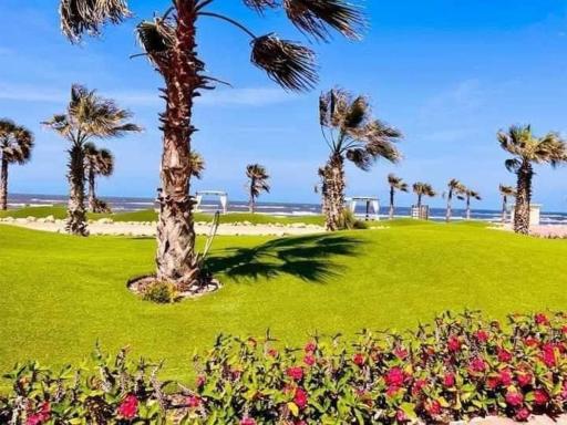 بورتوسعيد Portosaid - Housity