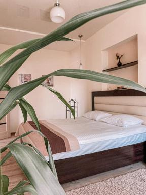 Family House - Housity