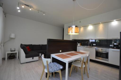 Apartament Bursztynowy z garażem -Centrum Gliwic - Housity