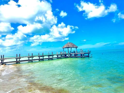 Two bedroom beachfront villa Celestun - Housity