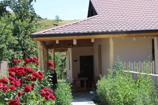 Villa Shamakhyan Dilijan - Hizvo