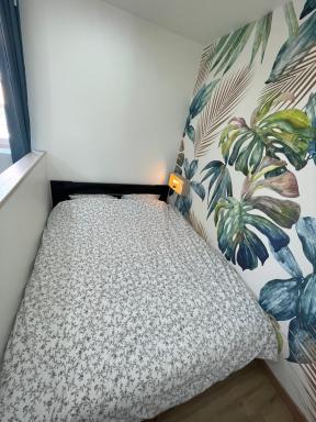 La Maison 19 : Studio 2 personnes Louvre Lens - Housity
