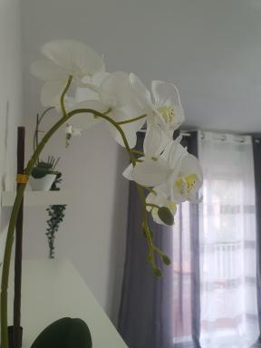 Apartamento Turia - Housity
