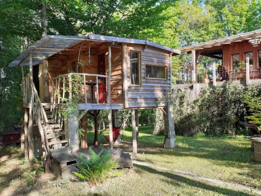 La cabane de l'oiseau - Housity