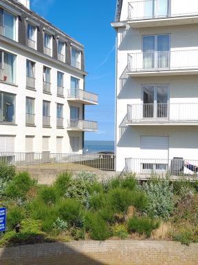 Beachfront Vakantie appartement De Haan Cormoran - Housity