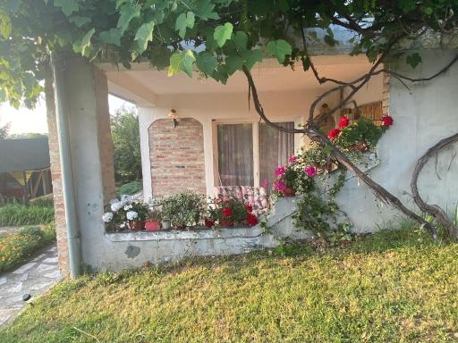 Vila Nika - Housity