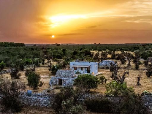 Casa Barzò - surrounded by olive trees - Housity