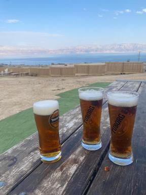 Badolina Ein Gedi Glamping - Housity