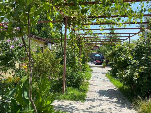 Hotel Villa Eniseli - Housity