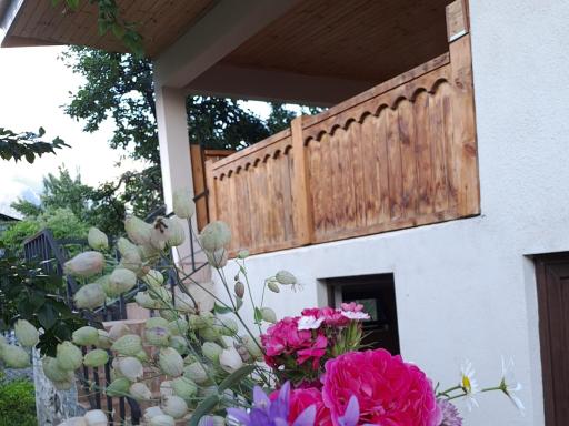 Irina's Guesthouse - Housity