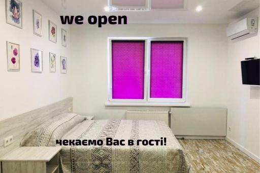 Sunny apartments on Lomonosova 36 - Housity