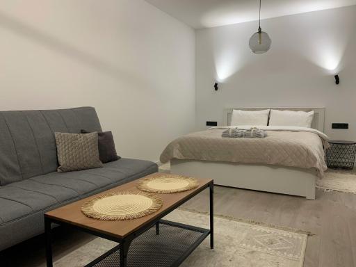 Bright and lovely 1-bedroom apartment in Klaipeda - Housity