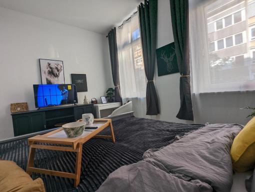 Schönes Appartment im Zentrum von Koblenz II - Housity