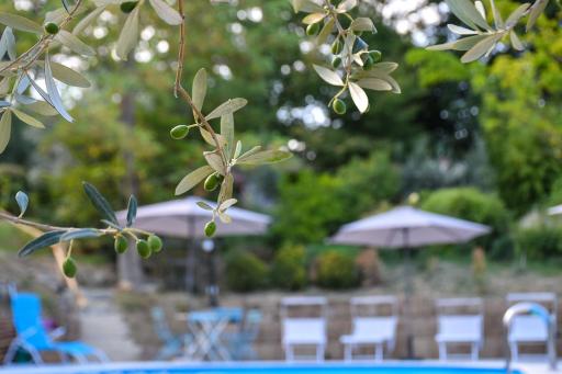 Agriturismo L'Arte del Verde - Housity